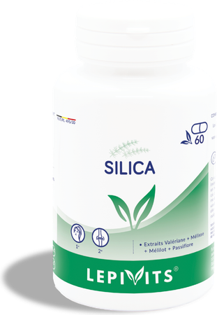 Silica V-caps 60 Lepivits