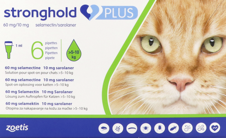 Stronghold Plus 60mg/10mg Sol Spot On Kat 6 2