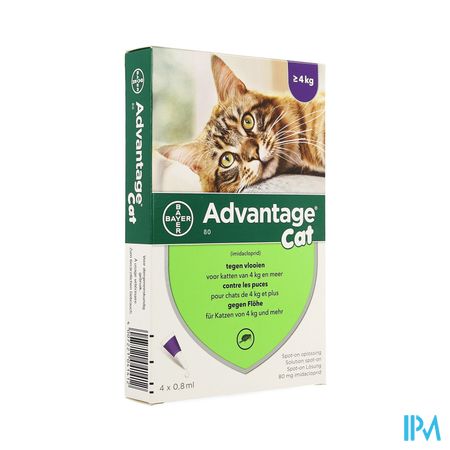 Advantage 80 Katten >4kg 4x0,8ml