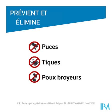 Frontline Spot On Kat 10% Pipet 6x0,50ml 6