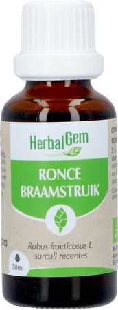 Herbalgem Ronce Bio 30ml 1