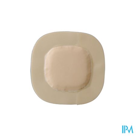 Biatain Super Niet-klevend 20,0cmx20,0cm 10 4639 2