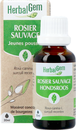 Herbalgem Rosier Sa Bio 30ml 2