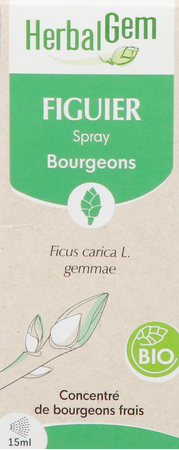 Herbalgem Figuier Bio Spray 15ml 1