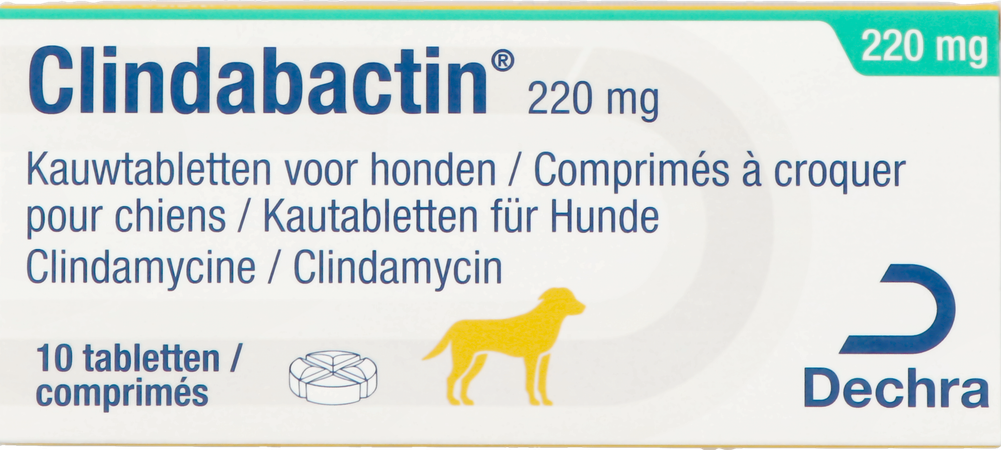 Clindabactin 220mg Kauwtabletten Honden Katten 10 3