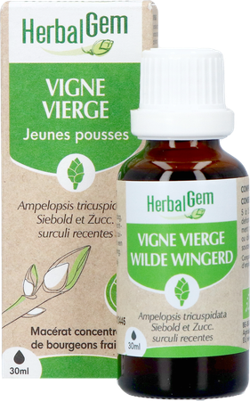 Herbalgem Vigne Vier Bio 30ml 2