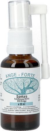 Angi-forte Spray 30ml 1