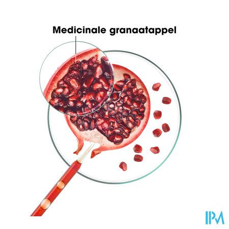 Klorane Capil. Sh Granaatappel 400ml 7