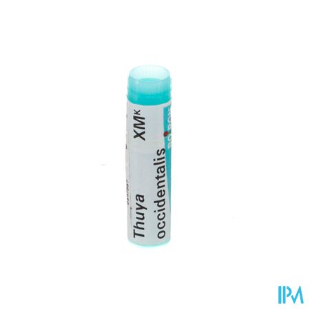 Thuya Occidentalis Xmk Gl Boiron 1