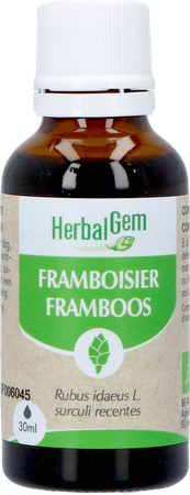 Herbalgem Frambozenstruik Bio 30ml 1