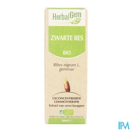 Herbalgem Zwarte Bes Maceraat 50ml 1