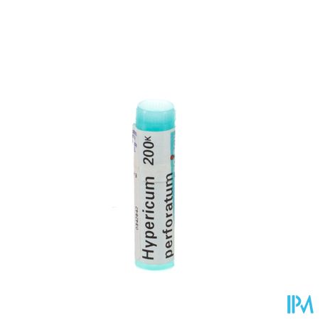 Hypericum Perforatum 200k Gl Boiron 1