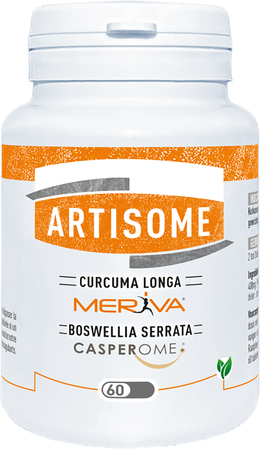 Artisome Comp 60 X 1000mg 1