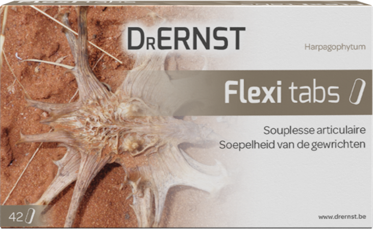 Dr Ernst Flexi tabs 42 Tabl 2