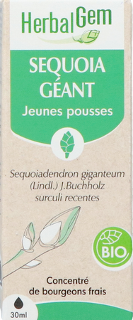 Herbalgem Sequoia Bio 30ml 3