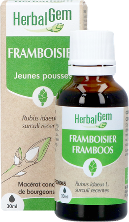 Herbalgem Frambozenstruik Bio 30ml 5