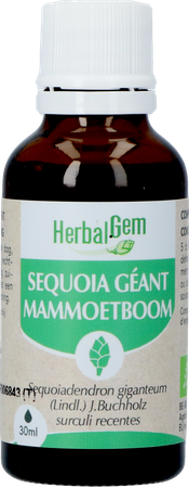 Herbalgem Sequoia Bio 30ml 1