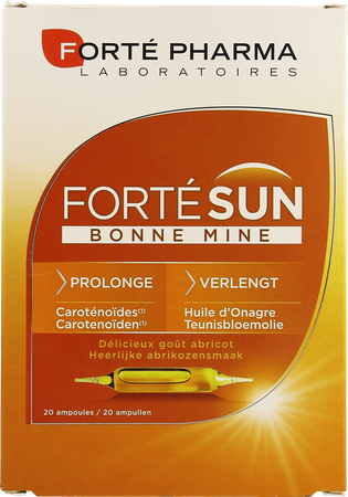 Fortesun Bonne Mine Amp 20 1