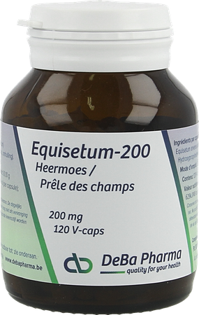 Equisetum 200 V-caps 120 6