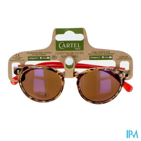 Cartel Lunette Solaire Baltimore Asie 1