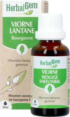 Herbalgem Sneeuwbal Bio 30ml 5