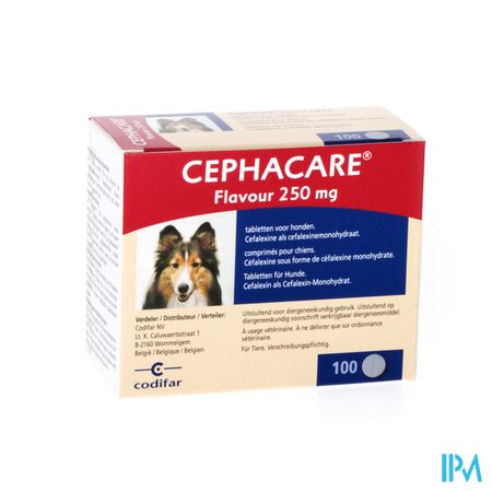 Cephacare Flavour 250mg Comp Honden 100