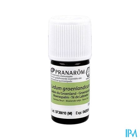 Ledon Groenland Bio Ess Olie 5ml Pranarom 3