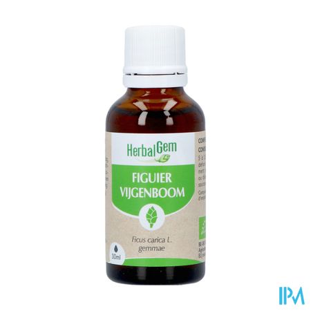 Herbalgem Vijgenboom Bio 30ml 7