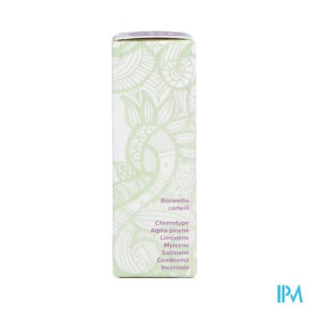 Sjankara Encens/oliban Huile Ess. Bio 11ml 2