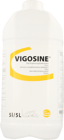 Vigosine Siroop Nf 5l 1