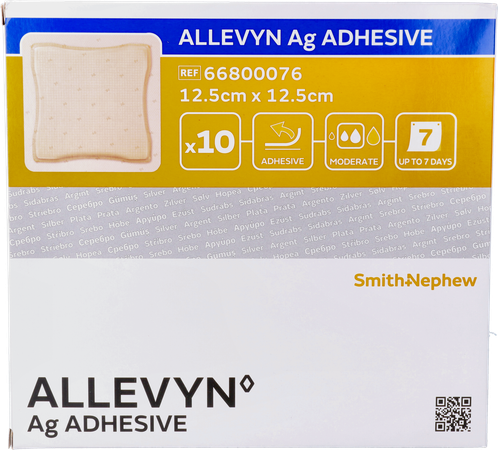 Allevyn Ag Adhesive Ster 12,5x12,5cm 10 66800076 2
