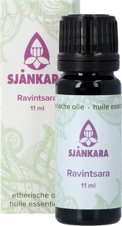 Sjankara Ravintsara Huile Ess. Bio 11ml 1