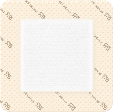 Suprasorb P Sensitive Bord. Lite 10x10cm 10 139083