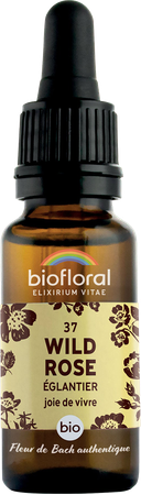 Biofloral Fleurs De Bach 37 Wild Rose Bio 20ml 1