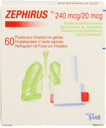 Zephirus 240mcg/20mcg Pdr Inhal. 60 Gel + 1 Inhal. 1