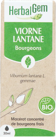Herbalgem Sneeuwbal Bio 30ml 6