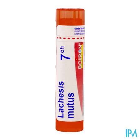 Lachesis Mutus 7ch Gr 4g Boiron 2