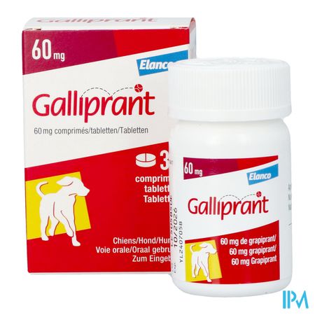 Galliprant 60mg Chien Comp 30 5