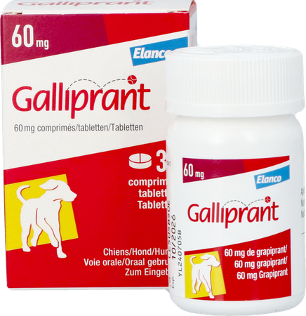 Galliprant 60mg Hond Comp 30 5