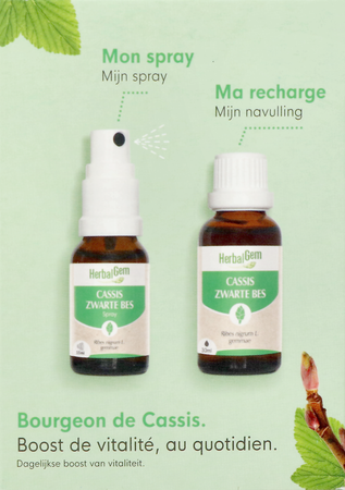 Herbalgem Zwart.bes Bio Spray15ml+gtt 30ml Duopack 6