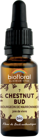 Biofloral Bachbloesem 07 Chestnut Bud Bio 20ml 1