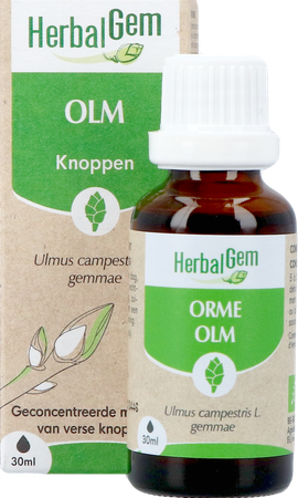 Herbalgem Olm Bio 30ml 3