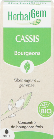 Herbalgem Zwarte Bes Bio 30ml 3