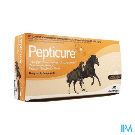 Pepticure 370mg/g Pasta Oraal Paard 7