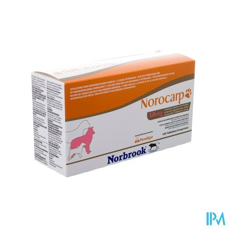 Norocarp Hond Smakelijk Tabl 100x50mg