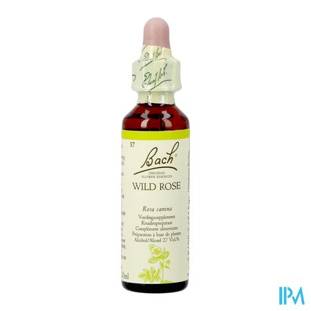 Bach Flower Remedie 37 Wild Rose 20ml 2
