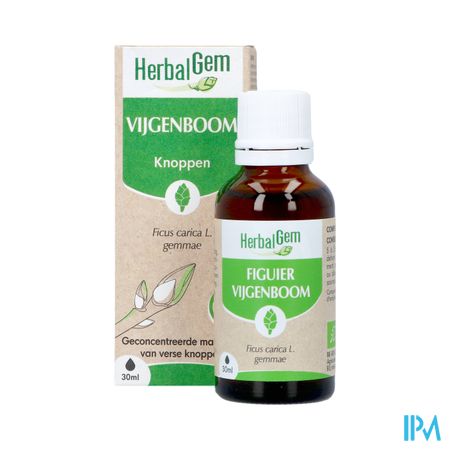 Herbalgem Vijgenboom Bio 30ml 8