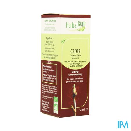 Herbalgem Libanonceder Maceraat 50ml 1
