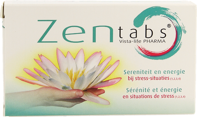 Vista Zentabs Tabl 30 1