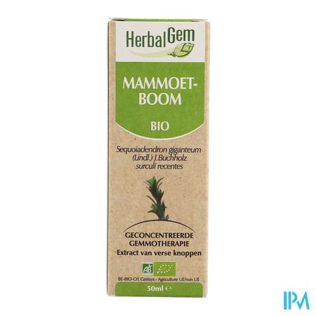 Herbalgem Sequoia Maceraat 50ml 3